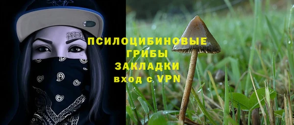 соль ск Корсаков
