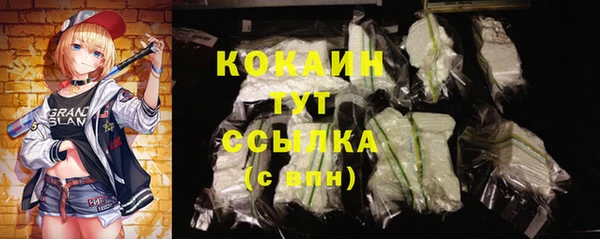 ПСИЛОЦИБИНОВЫЕ ГРИБЫ Коряжма