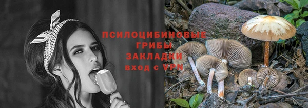 ПСИЛОЦИБИНОВЫЕ ГРИБЫ Коряжма