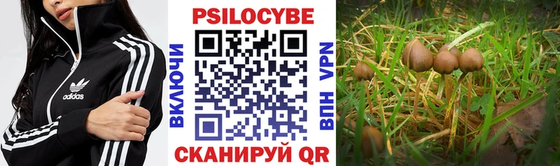 Галлюциногенные грибы GOLDEN TEACHER  Приморско-Ахтарск 