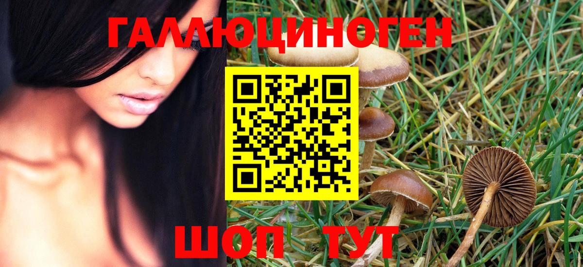 Галлюциногенные грибы Magic Shrooms Приморско-Ахтарск